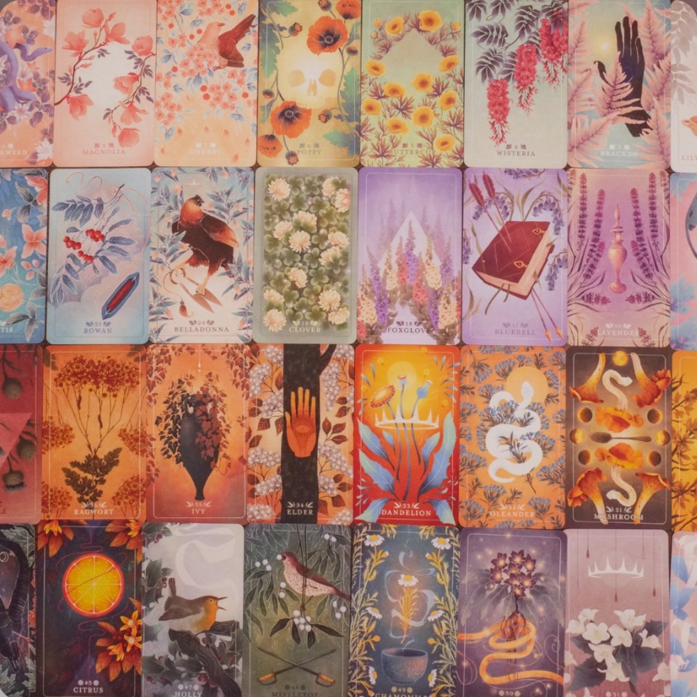 🌱Seed and🌾Sickle Oracle🌓Deck✨ - Picture 7 of 16